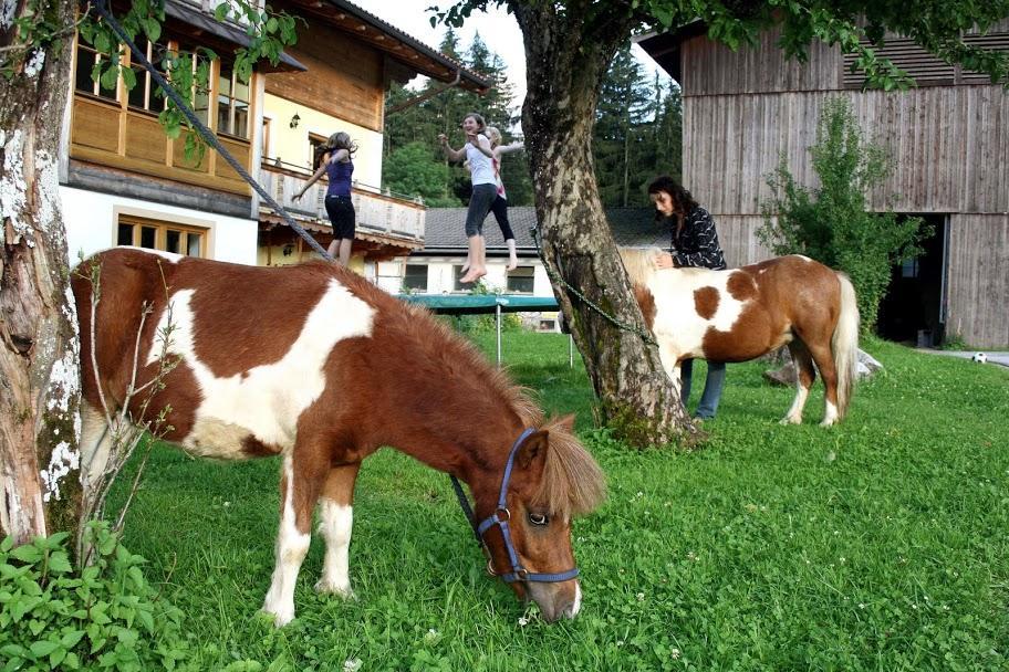 Haus Loferer Daire Sankt Martin bei Lofer Dış mekan fotoğraf