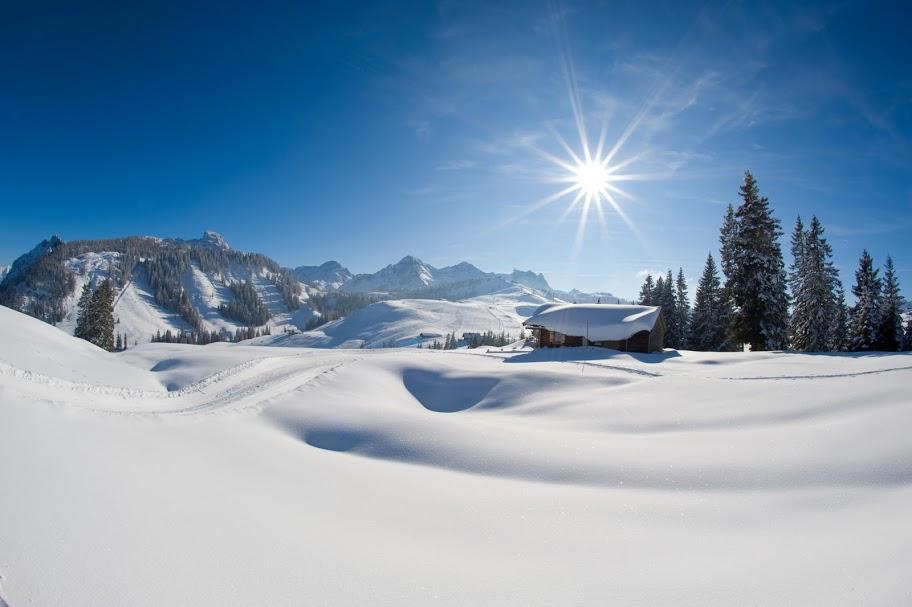 Haus Loferer Daire Sankt Martin bei Lofer Dış mekan fotoğraf