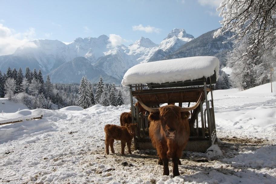 Haus Loferer Daire Sankt Martin bei Lofer Dış mekan fotoğraf